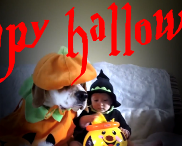 happy-halloween-from-charlie-the-beagle