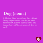 10 Dog Quotes That Will Inspire Any Dog Owner - I Heart Pets