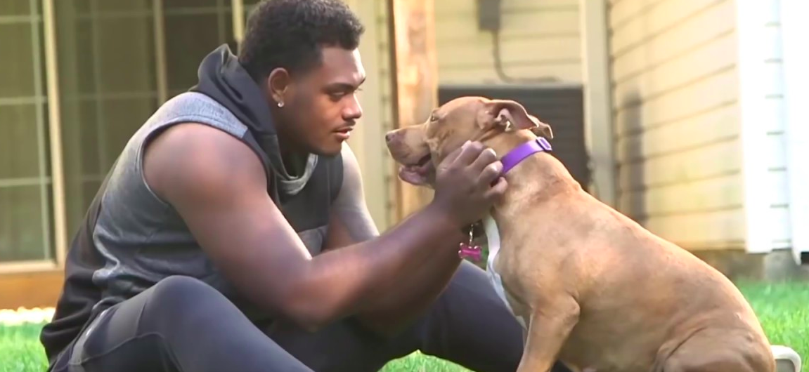 Baltimore Ravens Player Opens Up About How Pet Adoption Can Change ...