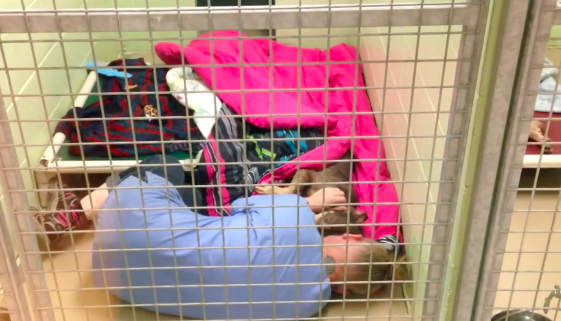 Shelter Staffer Captures Heartwarming Video Of Volunteer Sleeping Next